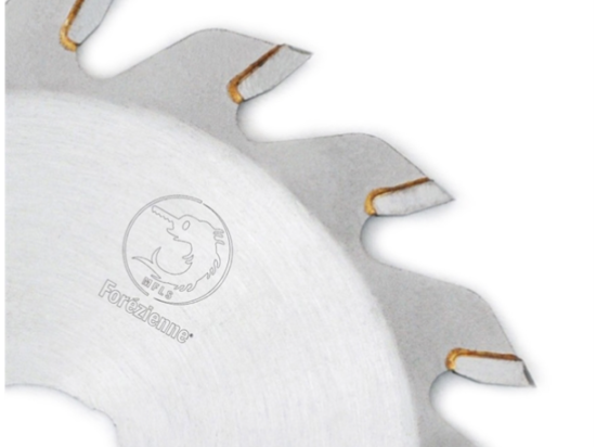 La Forezienne : Lame carbure 168 mm Z= 16 spéciale festool al : 20 mm