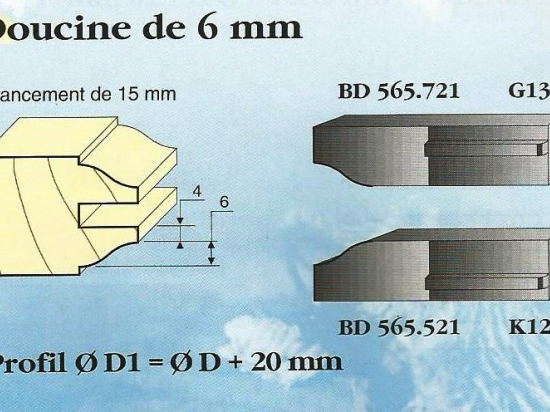 Le Ravageur : profil doucine 6mm DUS 565721 - destockage