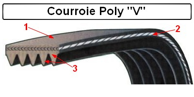 Courroie striée Poly-V 711 J 8 pour toupie Kity
