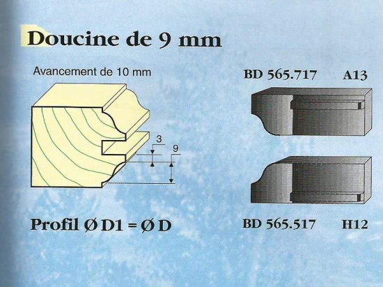 Le Ravageur : profil doucine 9mm DUS 565717 - destockage