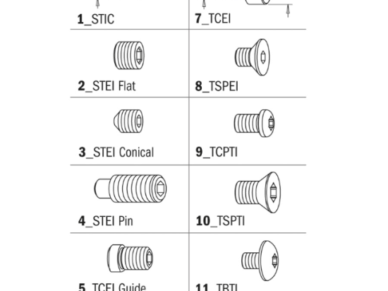 CMT : Vis TORX 2,5 mm /  T8 pour fraise a plaquettes - type 10