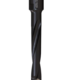 CMT : Fraise Domino DF 700 d= 10 mm