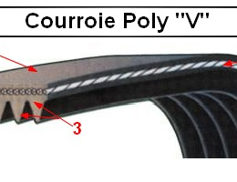 Courroie Poly-V -  Leman SRU 356