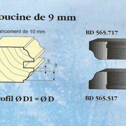 Le Ravageur : profil doucine 9mm DUS 565717 - destockage