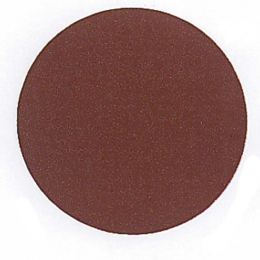 Disque auto aggrippant 200 mm  grain 120 par 10 pieces