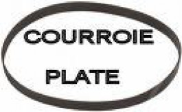 Courroie plate 1000 x 15  Kity